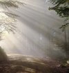 Fablelair